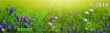 nat