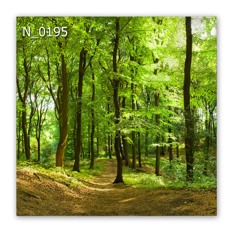 Panel szklany hartowany 60x60 Las