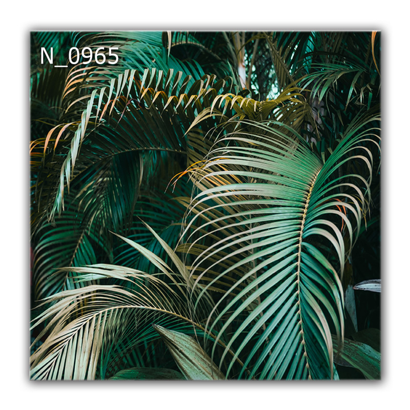Panel szklany hartowany 60x60 Liście Palmy