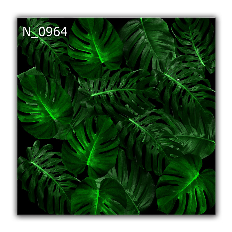 Panel szklany hartowany 60x60 Monstera