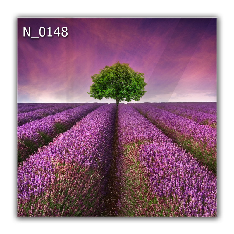 Panel szklany hartowany 60x60 Pole Lawendy