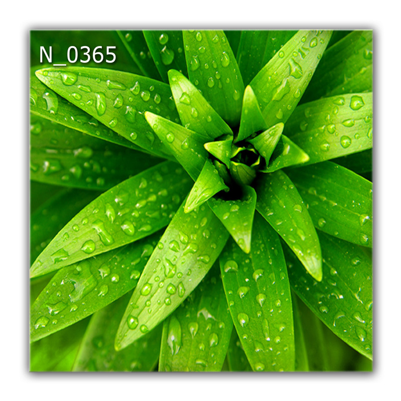 Panel szklany hartowany 60x60 Zielone Liście