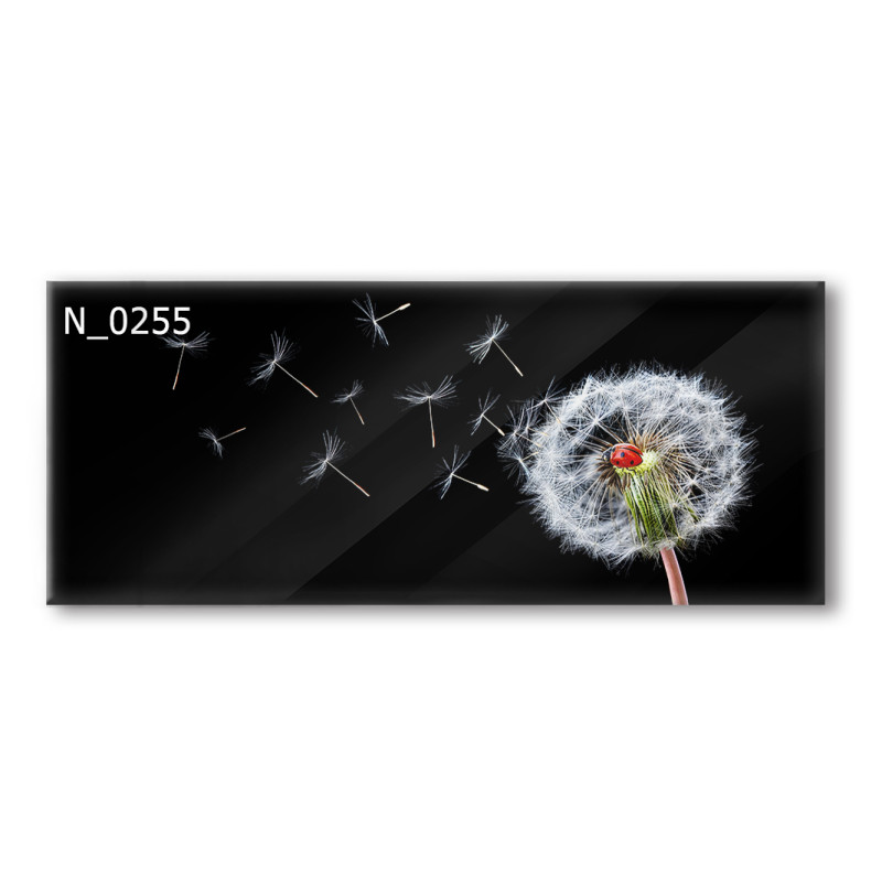 PANEL SZKLANY DO KUCHNI 120x50 cm - DMUCHAWIEC