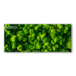 PANEL SZKLANY DO KUCHNI...