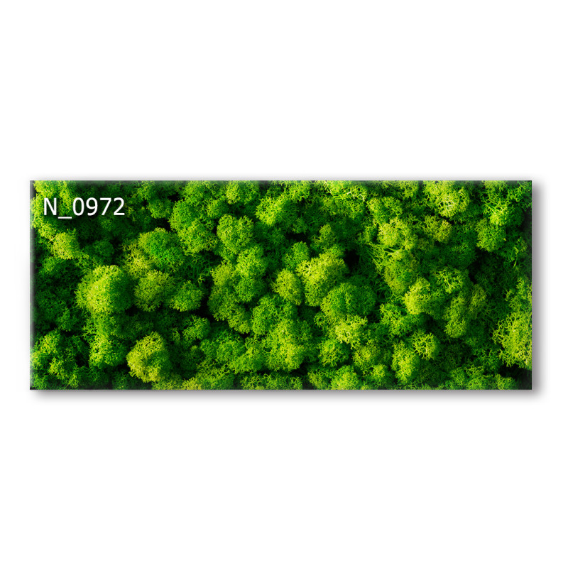 PANEL SZKLANY DO KUCHNI 120x50 cm - MECH