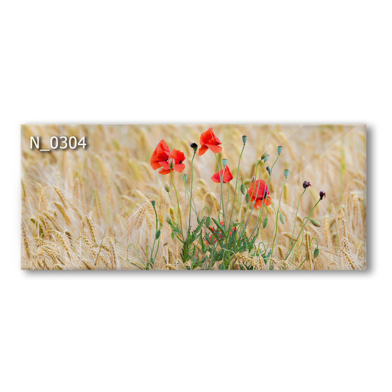 PANEL SZKLANY DO KUCHNI 120x50 cm - MAKI