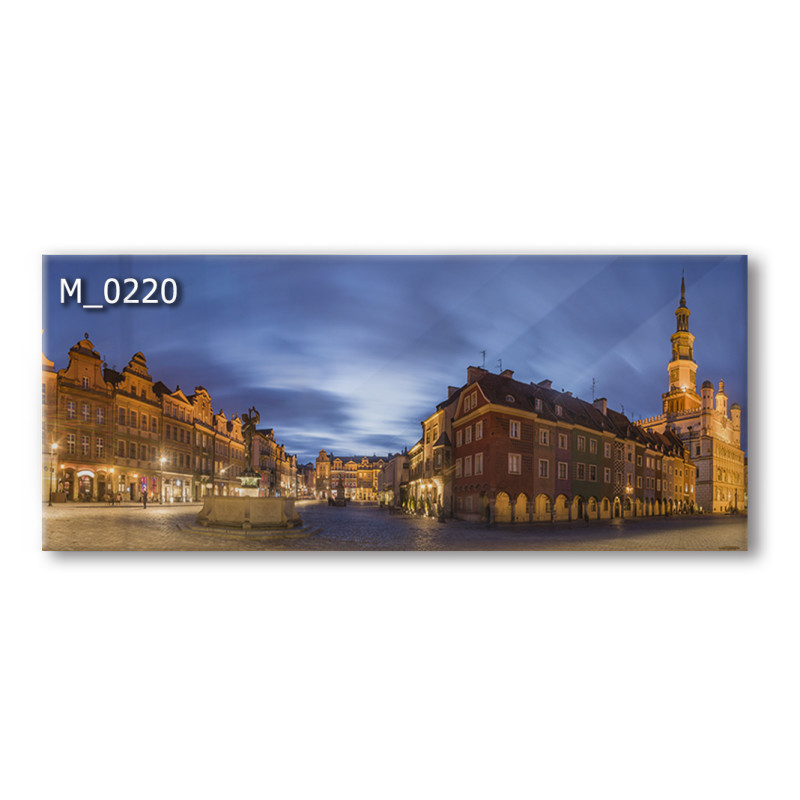 PANEL SZKLANY DO KUCHNI 120x50 cm - POZNAŃ