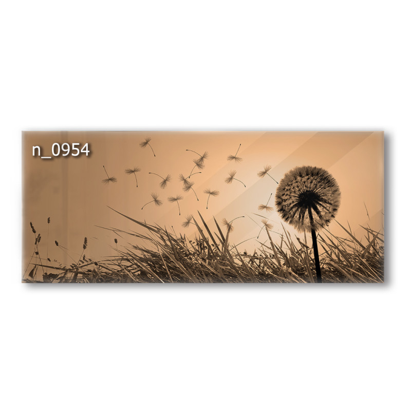 PANEL SZKLANY DO KUCHNI 120x50 cm - DMUCHAWIEC