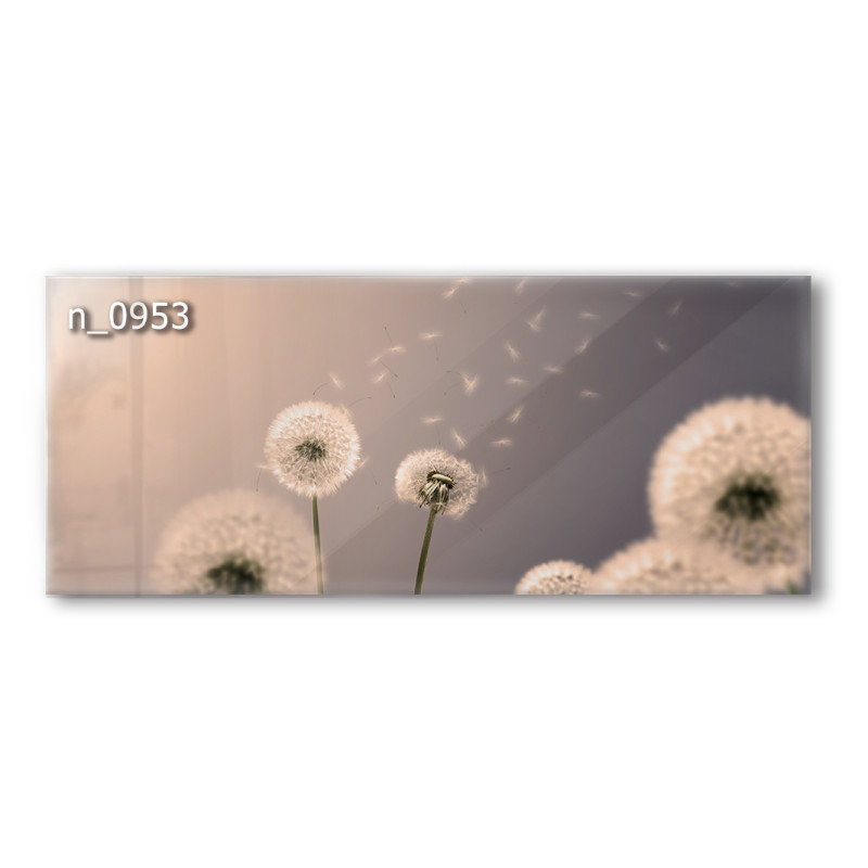 PANEL SZKLANY DO KUCHNI 120x50 cm - DMUCHAWCE II