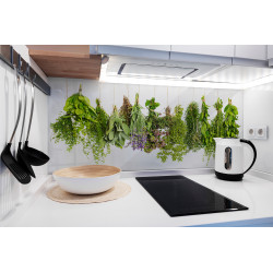 PANEL SZKLANY DO KUCHNI 120x50 cm - ZIOŁA II