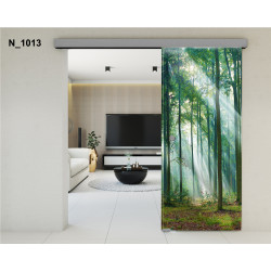 Drzwi szklane przesuwne...