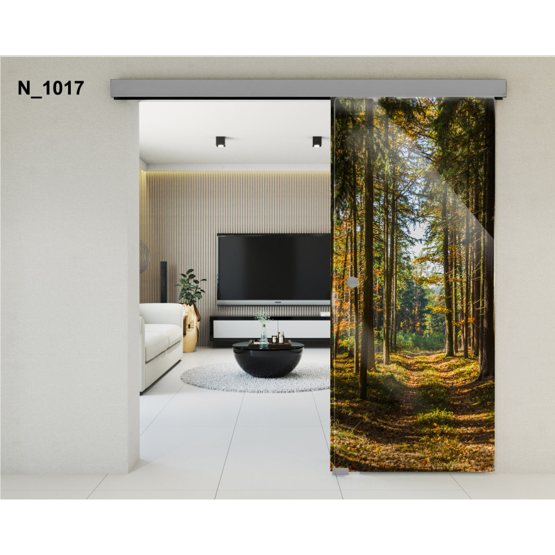 Drzwi szklane przesuwne PortaVetro JESIEŃ N_1017 Srebrne