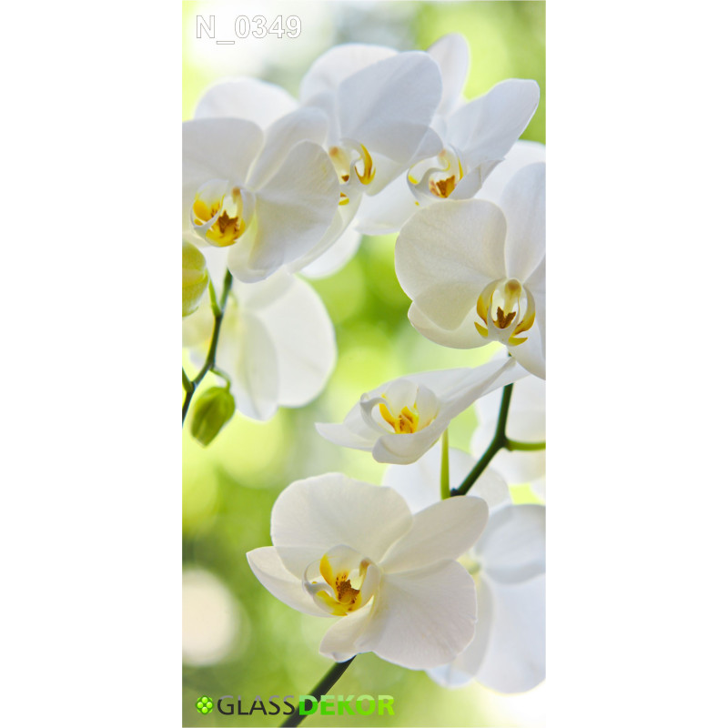 PANEL SZKLANY DO ŁAZIENKI - STORCZYKI