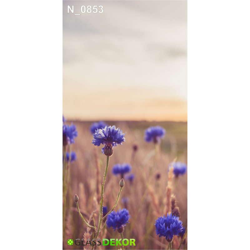 PANEL SZKLANY DO ŁAZIENKI - CHABER