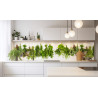 PANEL SZKLANY DO KUCHNI 200x50 cm ZIOŁA