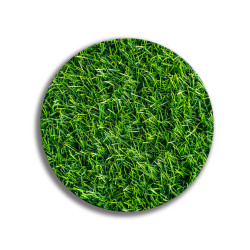 Deska szklana okrągła Trawa