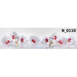 PANEL SZKLANY DO KUCHNI...