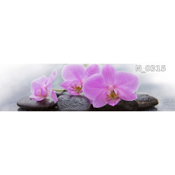 PANEL SZKLANY DO KUCHNI...