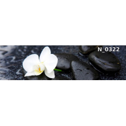 PANEL SZKLANY DO KUCHNI...