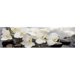 PANEL SZKLANY DO KUCHNI...