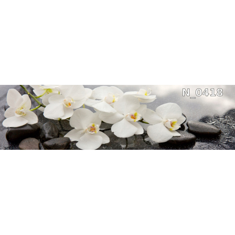 PANEL SZKLANY DO KUCHNI 200x50 cm STORCZYKI KAMIENIE WODA