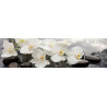 PANEL SZKLANY DO KUCHNI 200x50 cm STORCZYKI KAMIENIE WODA