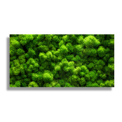 PANEL SZKLANY DO KUCHNI...