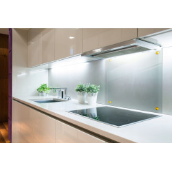 Panel szklany hartowany 100x50 PRZEZROCZYSTY 4mm ZŁOTE PINY