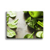 Deska szklana Greens